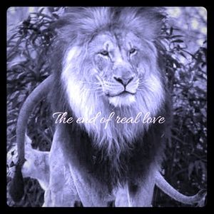 Meet your Posher, Milady